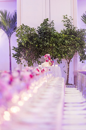 0311_sara_kauss_photography_4065