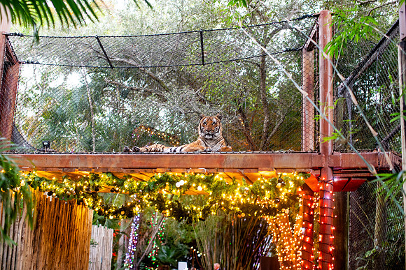 20251113_sara_kauss_photography_5257_horizontal_HR