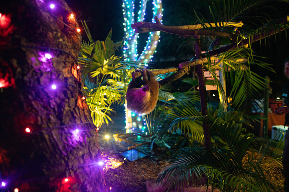 20251113_sara_kauss_photography_6510_horizontal_HR