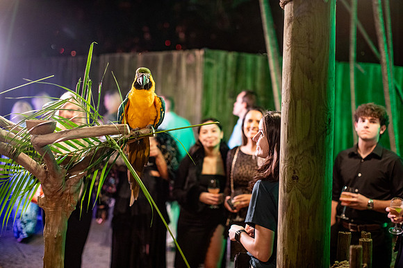 20251113_sara_kauss_photography_7044_horizontal_HR