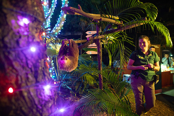 20251113_sara_kauss_photography_6516_horizontal_HR