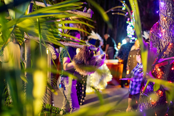 20251113_sara_kauss_photography_6641_horizontal_HR