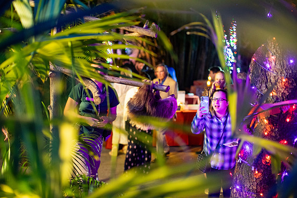 20251113_sara_kauss_photography_6633_horizontal_HR