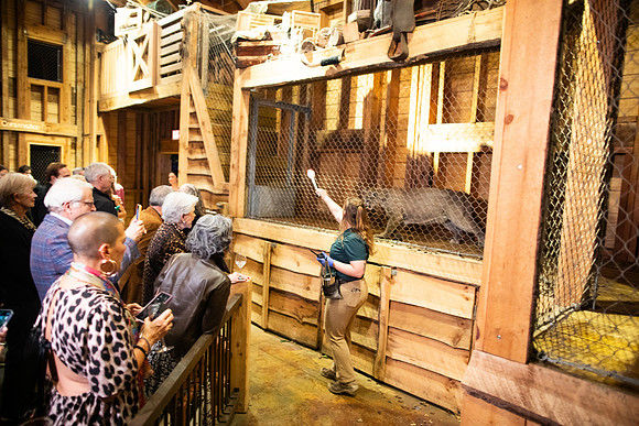 20251113_sara_kauss_photography_6080_horizontal_HR