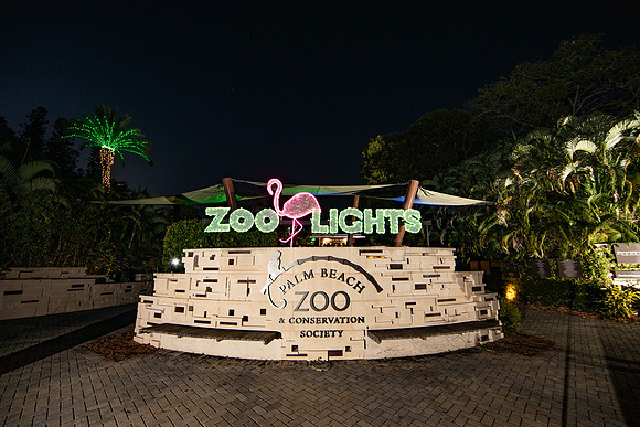 20251113_sara_kauss_photography_5290_horizontal_HR