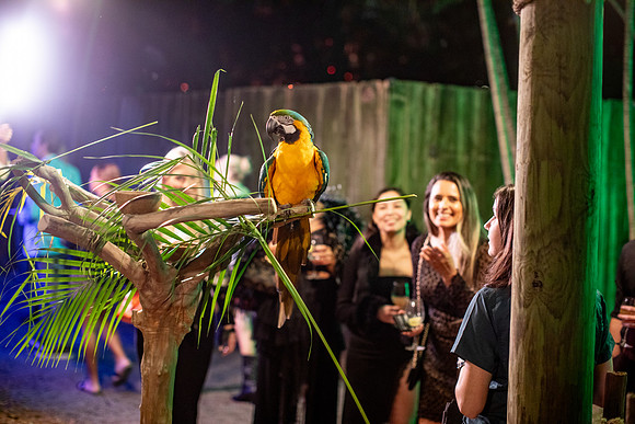 20251113_sara_kauss_photography_7052_horizontal_HR