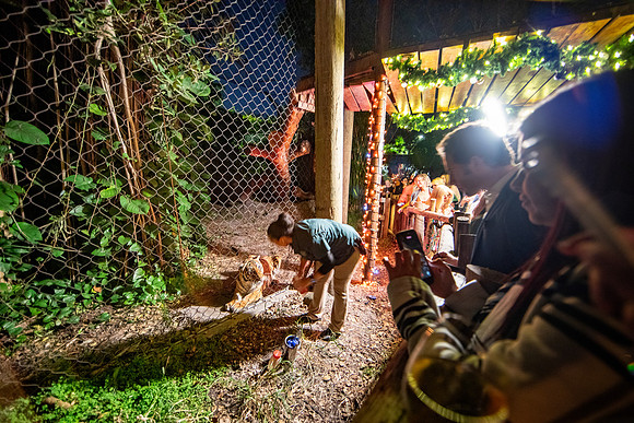 20251113_sara_kauss_photography_6803_horizontal_HR