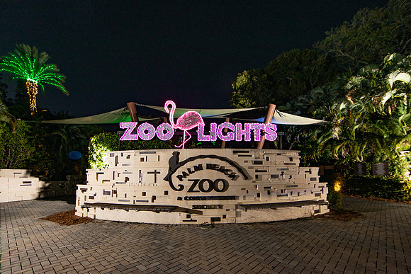 20251113_sara_kauss_photography_5310_horizontal_HR