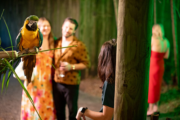20251113_sara_kauss_photography_7099_horizontal_HR