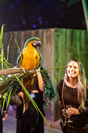 197_20251113_sara_kauss_photography_7065_vertical