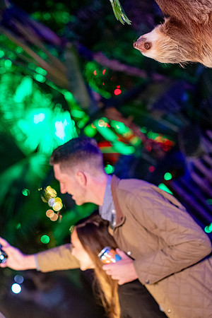 181_20251113_sara_kauss_photography_6955_vertical