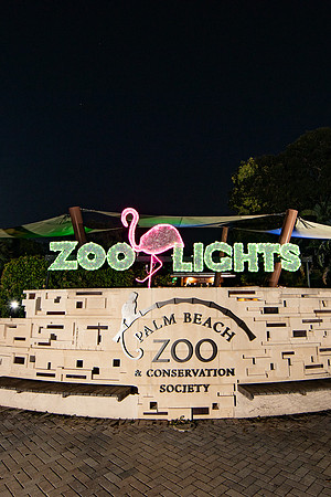 003_20251113_sara_kauss_photography_5290_vertical