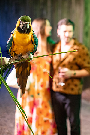 211_20251113_sara_kauss_photography_7110_vertical