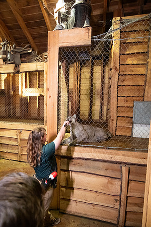 071_20251113_sara_kauss_photography_6004_vertical