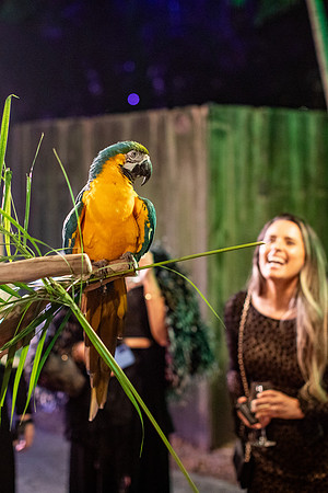 196_20251113_sara_kauss_photography_7064_vertical