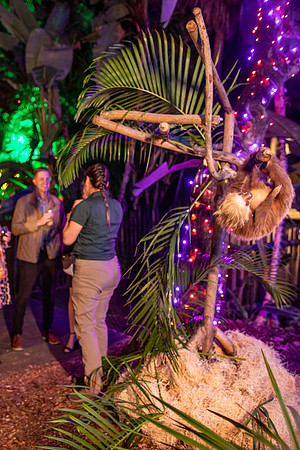 168_20251113_sara_kauss_photography_6849_vertical
