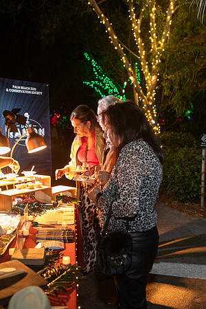 114_20251113_sara_kauss_photography_6302_vertical