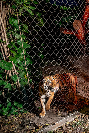 166_20251113_sara_kauss_photography_6832_vertical