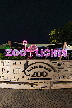 004_20251113_sara_kauss_photography_5310_vertical