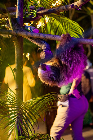 151_20251113_sara_kauss_photography_6677_vertical