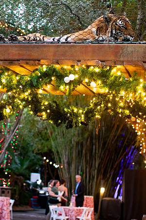 002_20251113_sara_kauss_photography_5267_vertical