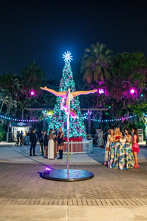 238_20251113_sara_kauss_photography_7436_vertical