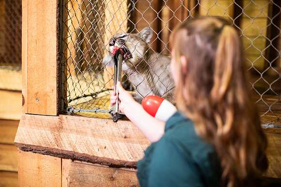20251113_sara_kauss_photography_6035_horizontal_HR