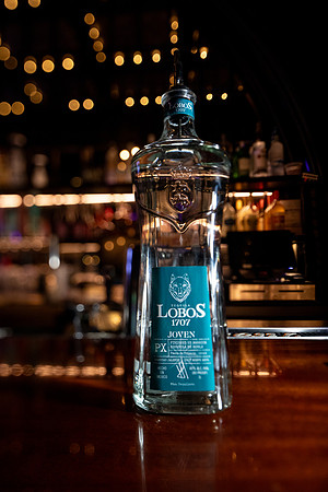 20251118_sara_kauss_photography_8153_HR