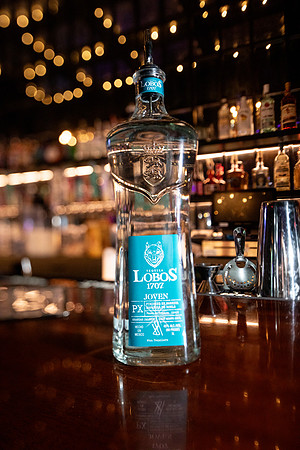 20251118_sara_kauss_photography_8157_HR