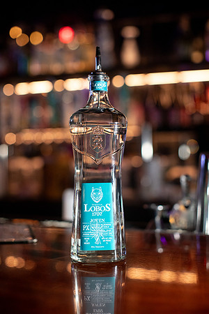 20251118_sara_kauss_photography_8162_HR