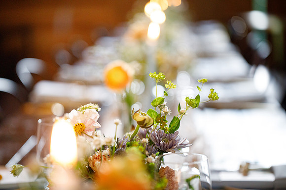 sara_kauss_photography_2411