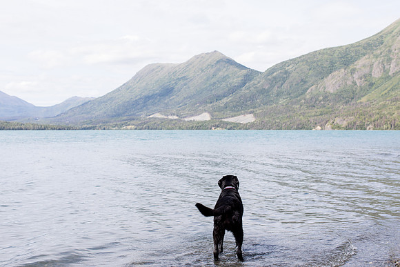 sara_kauss_photography_4245