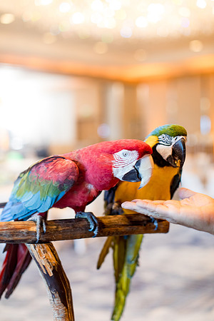 sara_kauss_photography_9597_dinner_03302025