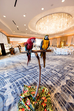 sara_kauss_photography_9594_dinner_03302025
