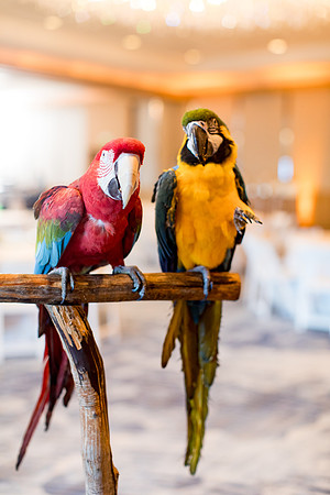 sara_kauss_photography_9600_dinner_03302025