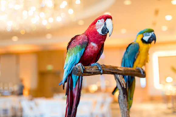 sara_kauss_photography_9604_dinner_03302025