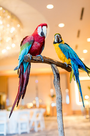 sara_kauss_photography_9608_dinner_03302025