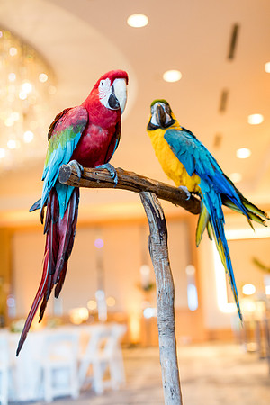 sara_kauss_photography_9609_dinner_03302025