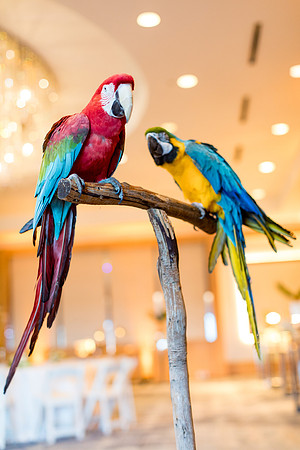 sara_kauss_photography_9610_dinner_03302025