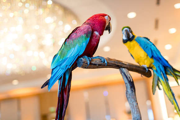 sara_kauss_photography_9613_dinner_03302025