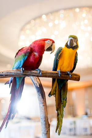 sara_kauss_photography_9621_dinner_03302025