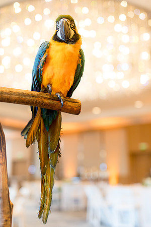 sara_kauss_photography_9628_dinner_03302025