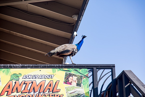 sara_kauss_photography_0935_everglades_03312025