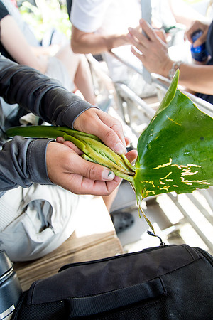 sara_kauss_photography_1310_everglades_03312025