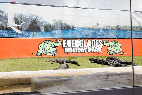 sara_kauss_photography_1514_everglades_03312025