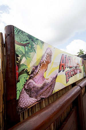 sara_kauss_photography_1696_everglades_03312025