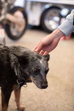 20260109_sara_kauss_photography_3415_HR