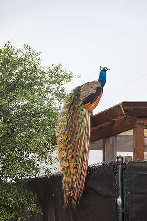 sara_kauss_photography_1765_everglades2_04012025