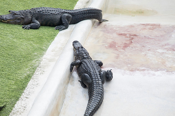 sara_kauss_photography_1922_everglades2_04012025