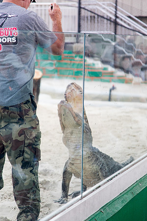 sara_kauss_photography_1957_everglades2_04012025